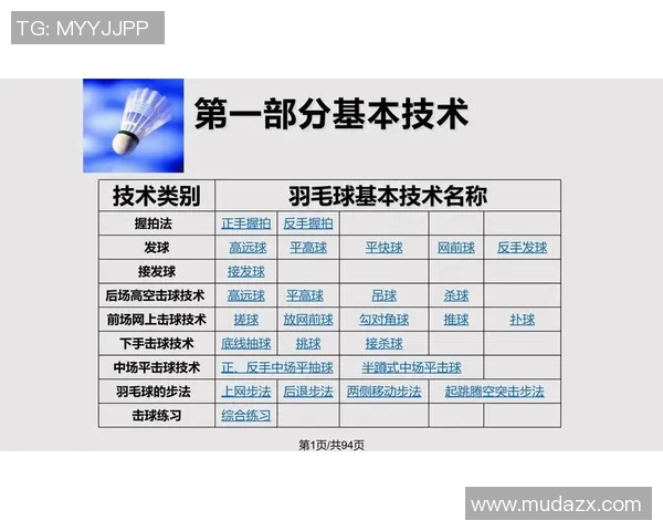 深圳羽毛球队战术深度解析与训练策略探讨