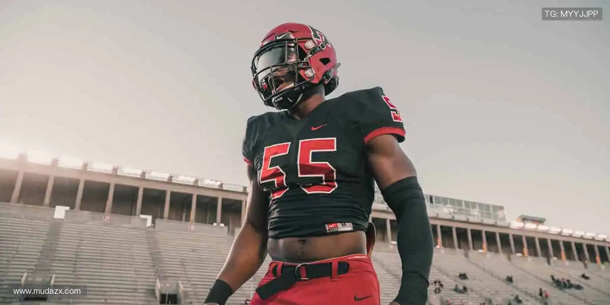 高清画质,身临其境的观赛体验🎥👀